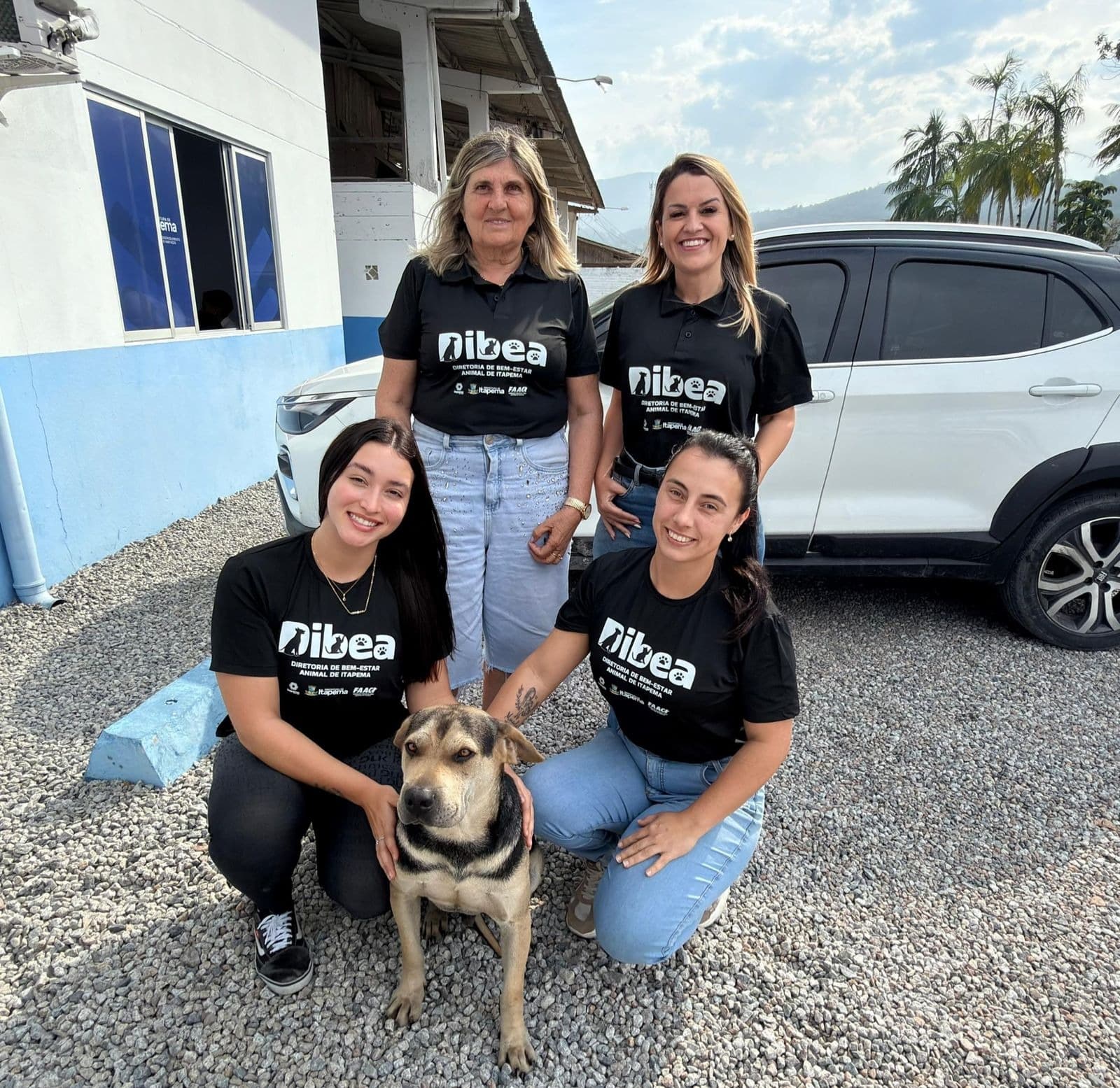 Itapema: Cidade conta com Diretoria de Bem-Estar Animal para ampliar políticas públicas nessa área